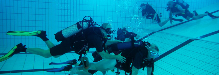 Lucky Fin (duiken met een beperking)